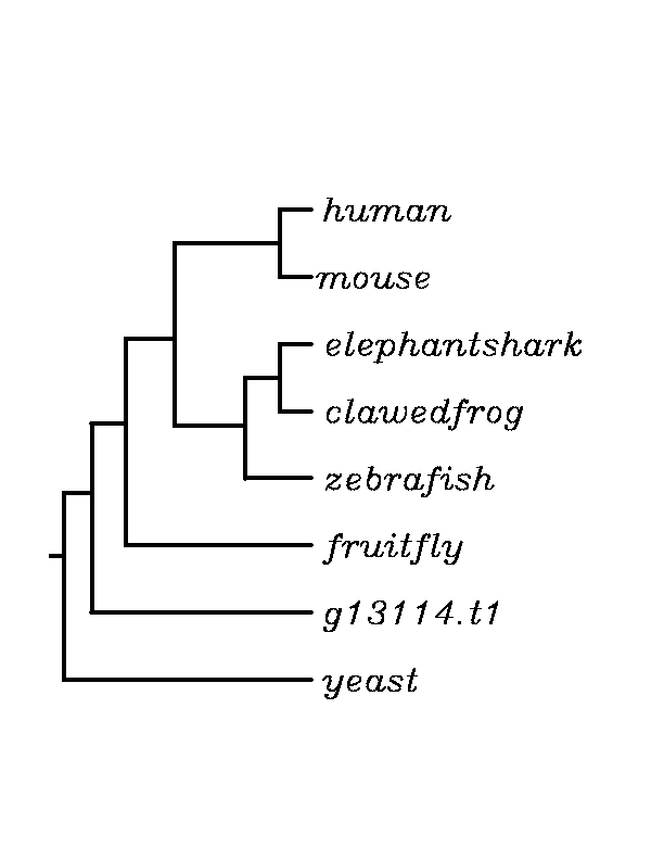 external image IFI30%20Tree_zpspvevil4a.png