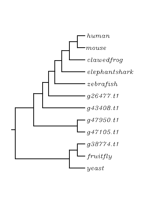 external image RAG2%20Tree_zpsnylx8lrb.png