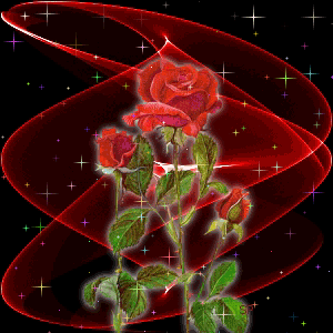  photo Rose-roses-16988807-300-300_zpsmtwl1kzx.gif