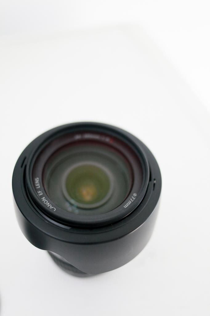 Hcm - cần bán 2 lens l 70-200 f4 và 24-105 f4 - 5