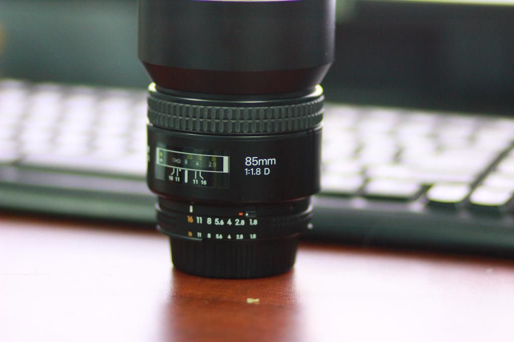 Cần bán Nikon 85mm f1,8D - 1