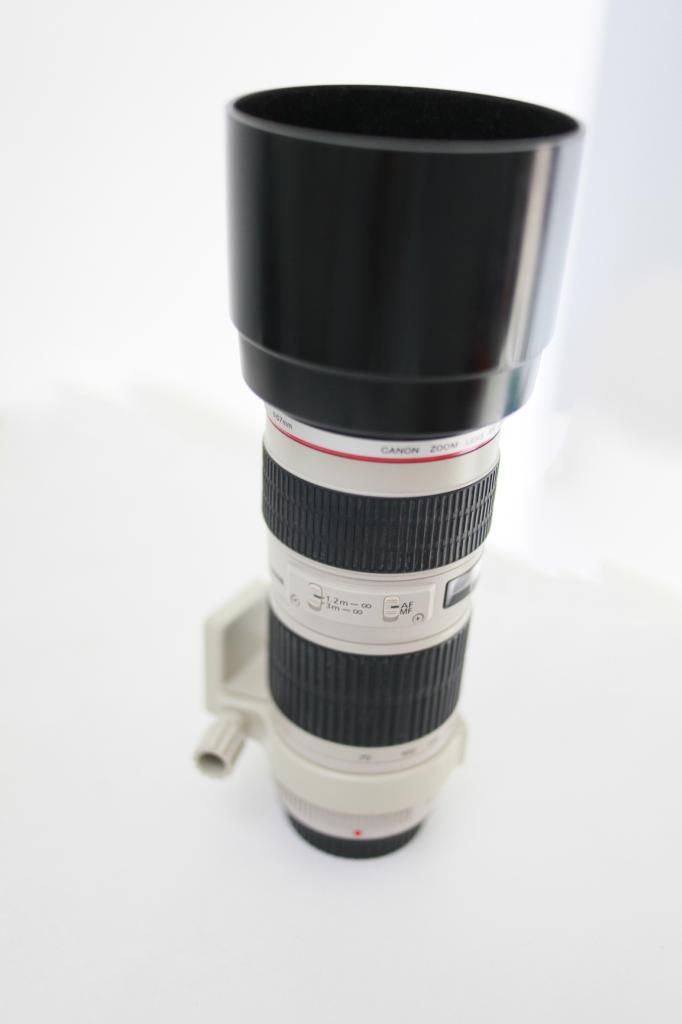 Hcm - cần bán 2 lens l 70-200 f4 và 24-105 f4