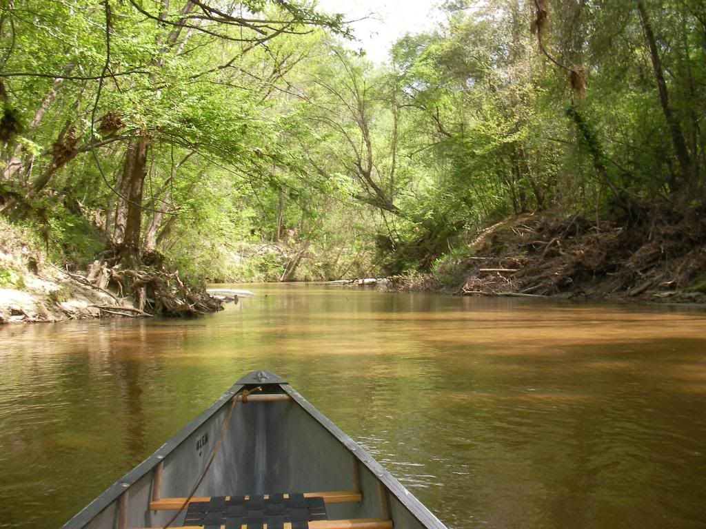 Canoe camping in Louisiana Bushcraft USA Forums