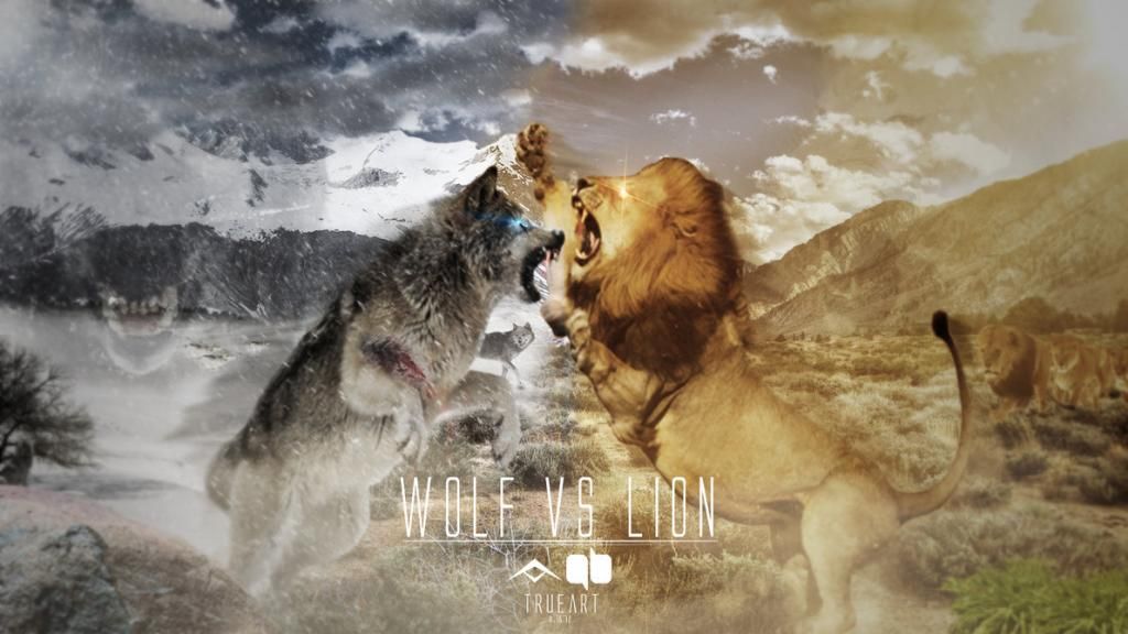 [Image: lion_vs_wolf_by_trueart_by_atrueart-d5bd...6aaff5.jpg]